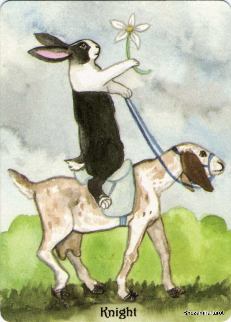 Rabbit Tarot